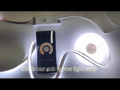 Luz de tira da ESPIGA