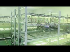 Tempo de produção para envelhecimento