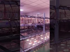 Funcionamento da tela transparente